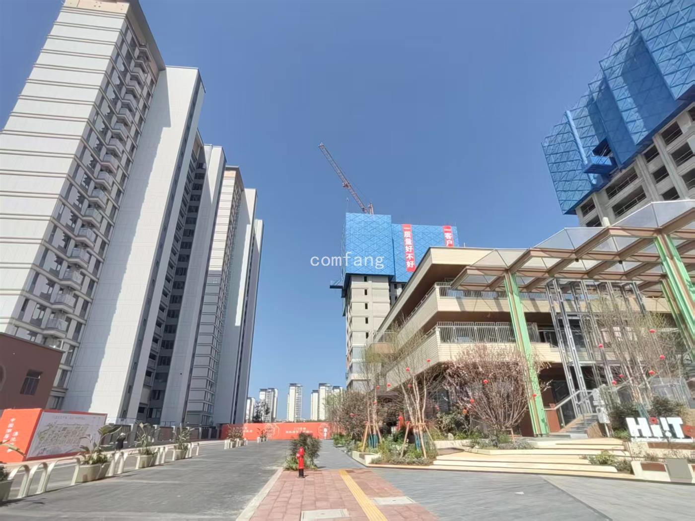 实景图片