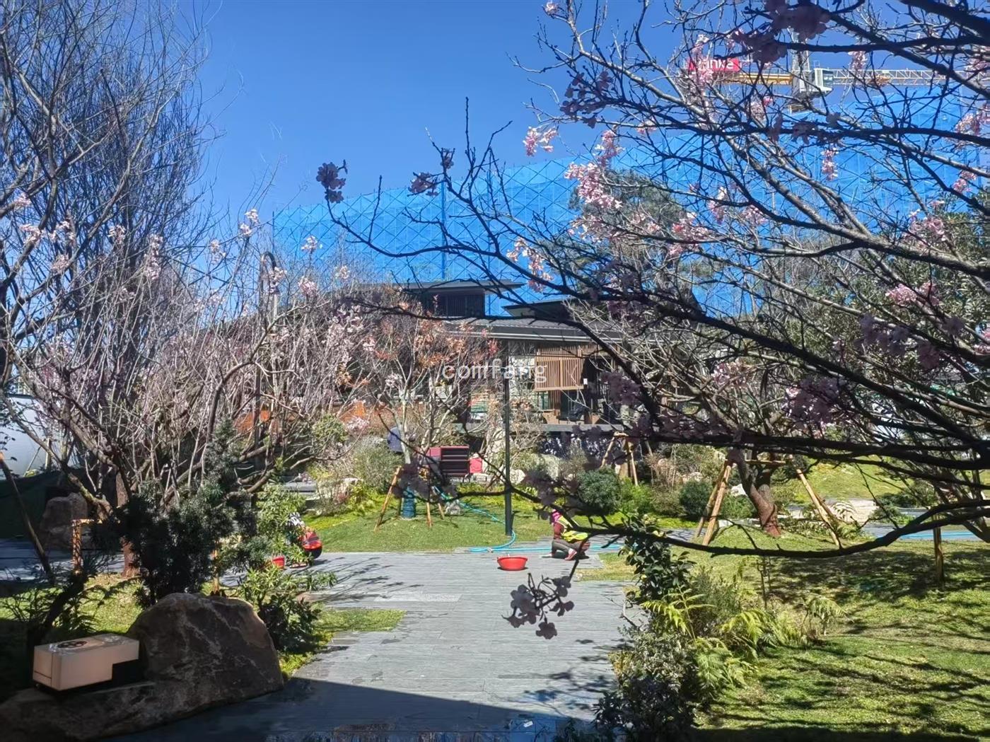 实景图片