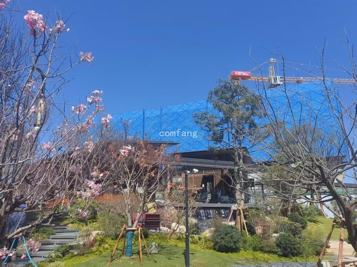 实景图片