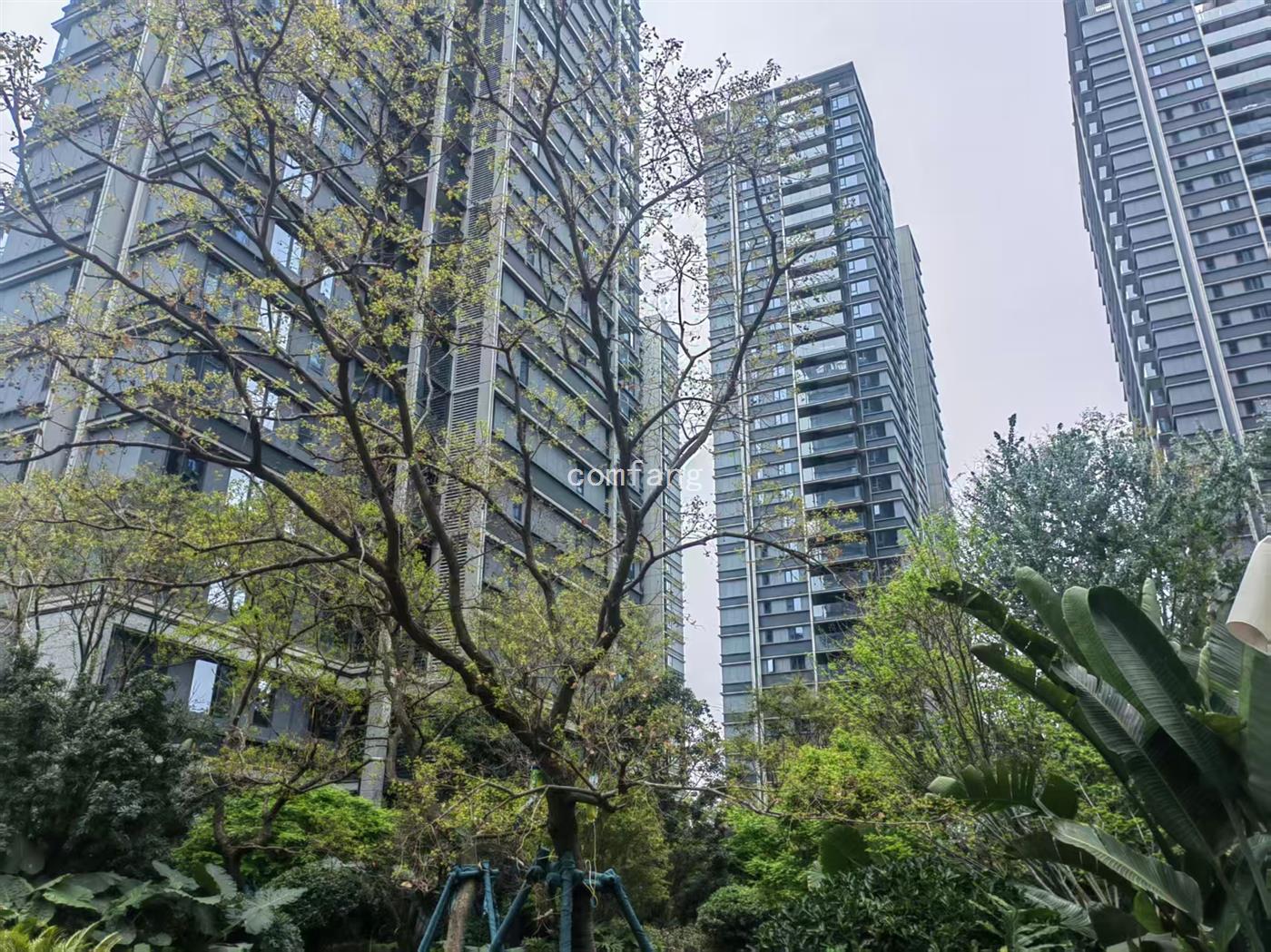 实景图片