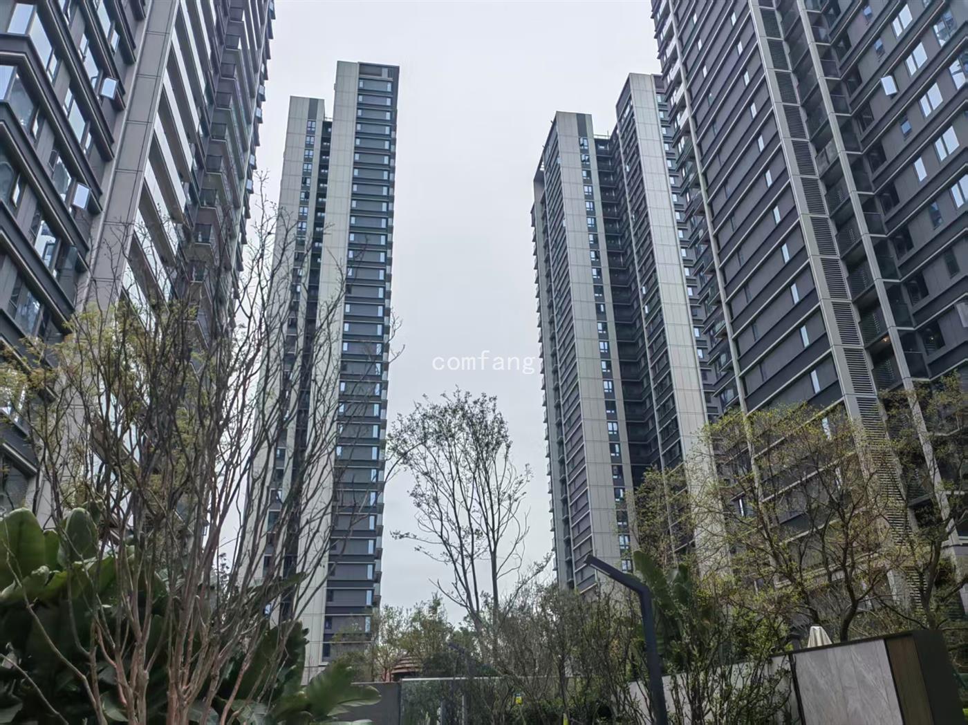 实景图片