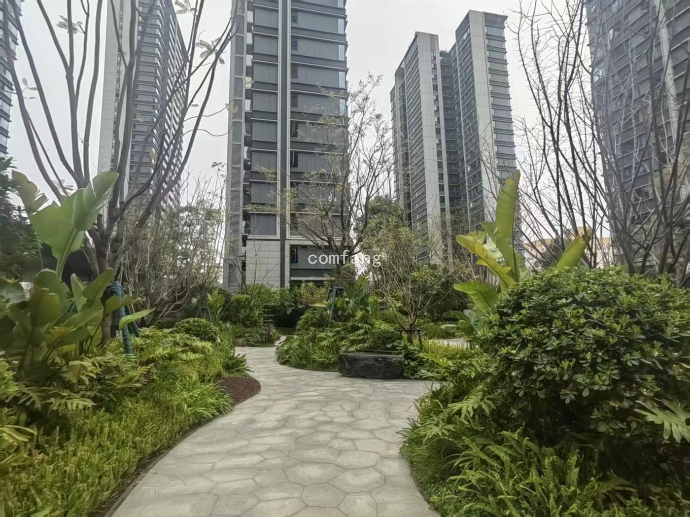 实景图片