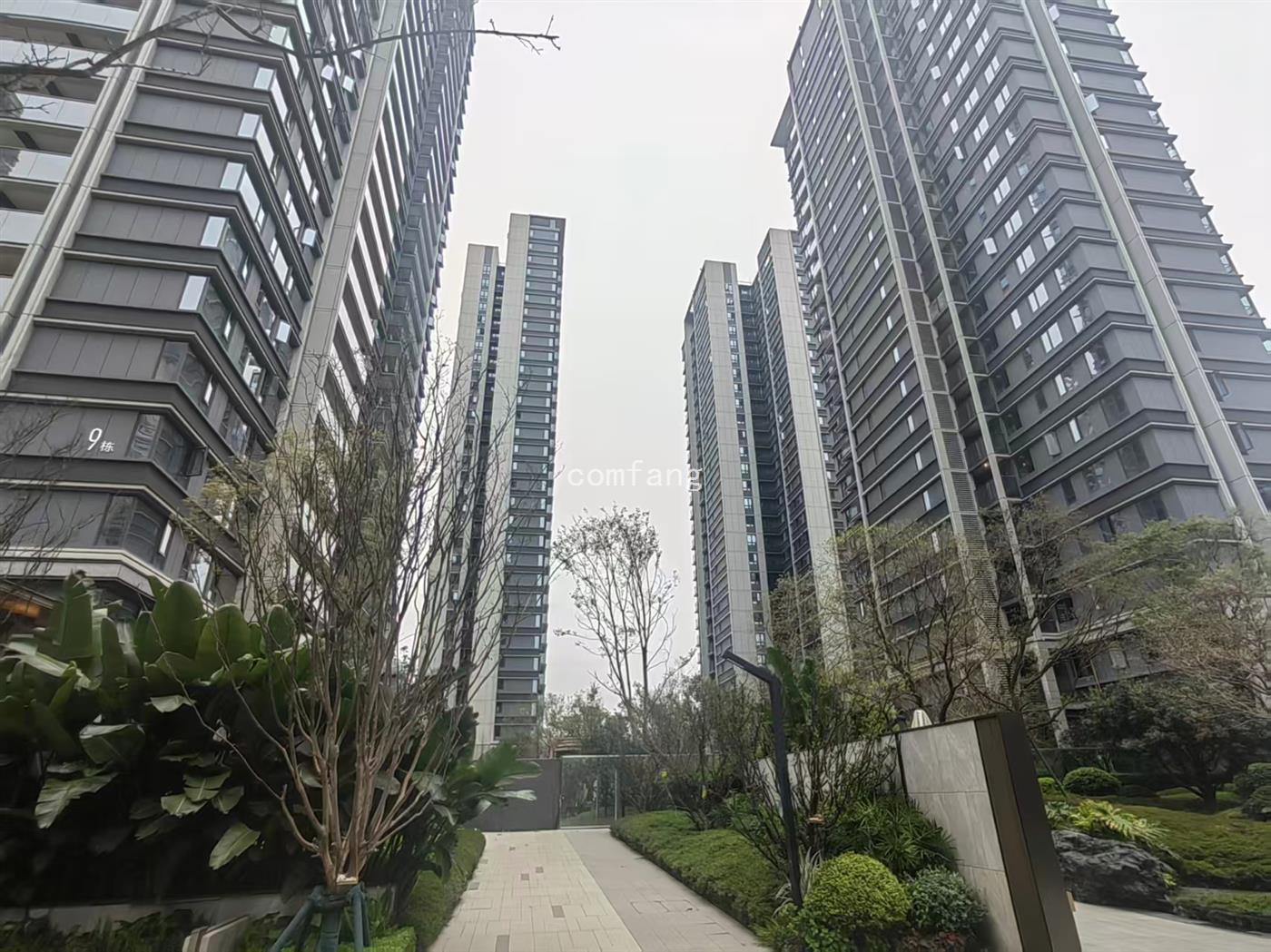 实景图片