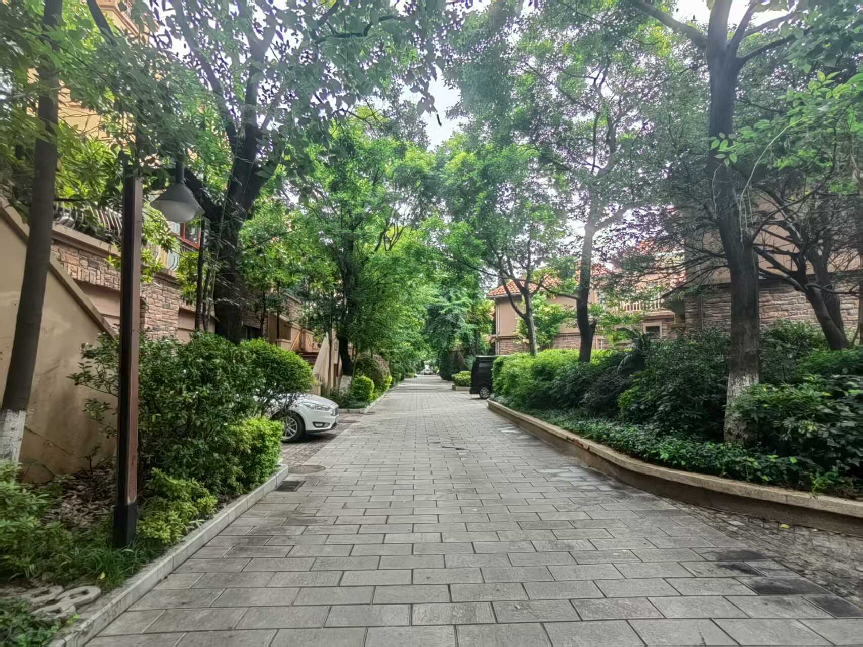 凯旋花园南区